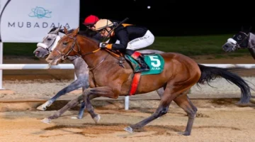 اختتام السباق التجريبي الرابع على مضمار العين للفروسية يعزز مكانة الفروسية الإماراتية في المنافسات المحلية